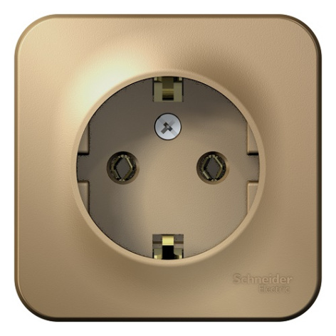 фото Розетка  Systeme Electric BLNRA010114 в Омске