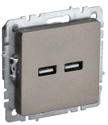 фото Розетка USB IEK BR-U21-D31-K37