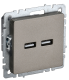 фото Розетка USB  IEK BR-U21-D31-K37 в Челябинске