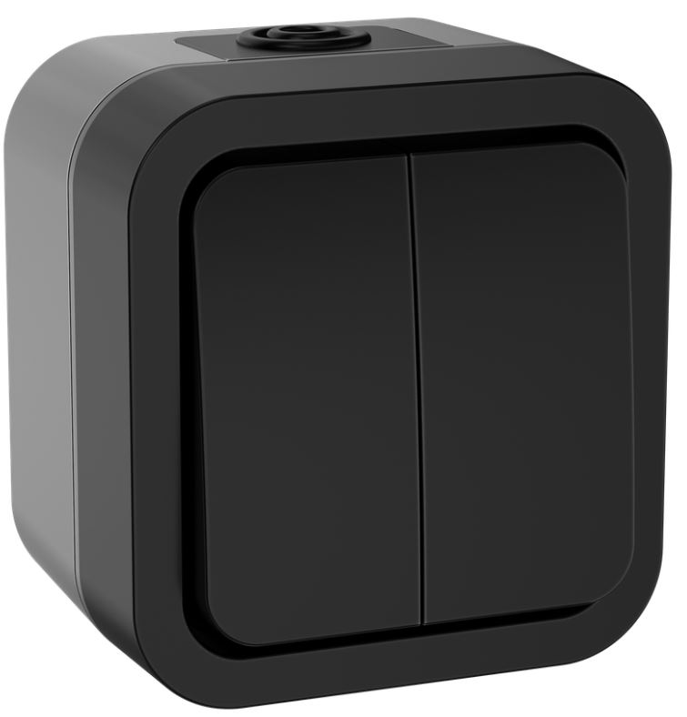 

Выключатель двухклавишный IEK TS-V20-0-10-55-K53 TORS 10А IP55 TS105 графит, TS-V20-0-10-55-K53