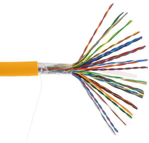 

Кабель витая пара U/UTP 5e кат. 25 пар Netlan EC-UU025-5-LSZH-OR-3 24AWG(0.47 мм), медь, одножильный (solid), внутренний, LSZH, нг(B)-HF, оранжевый, у, EC-UU025-5-LSZH-OR-3