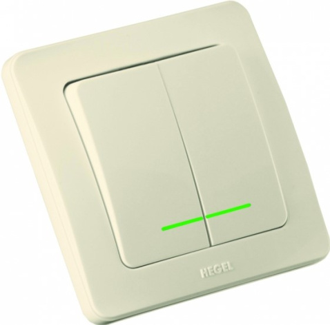 Изображение товара Двухклавишный выключатель HEGEL ВС10-352-01 с подсветкой и классическим дизайном