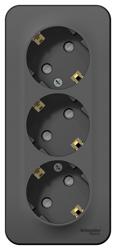 фото Розетка  Systeme Electric BLNRA011316 в Красноярске