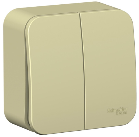 Изображение товара Выключатель двухклавишный Systeme Electric BLNVA105017