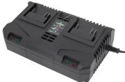 фото Зарядное устройство  TRUEGREEN TG8M250