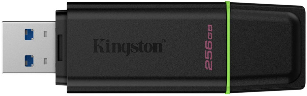 фото Накопитель USB 3.2 256GB Kingston DTXG2/256GB
