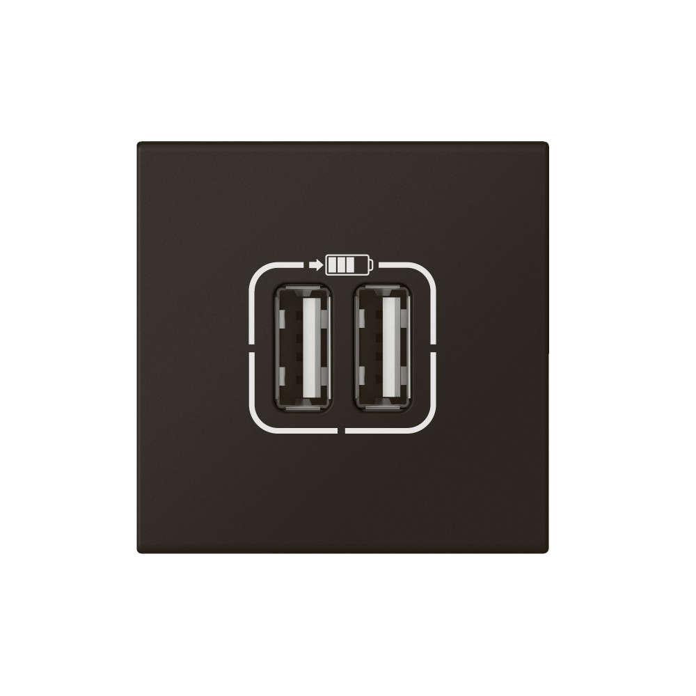 

Розетка Legrand 079194L - Программа Mosaic - USB А+А для зарядки двойная, 2 модуля, матовая черная, 079194L