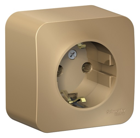 фото Розетка  Systeme Electric BLNRA010114 в Уфе