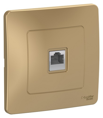 фото Розетка  Systeme Electric BLNIS045004 в Санкт-Петербургe