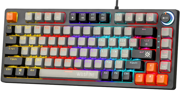 фото Клавиатура  Defender Wildfire GK-213 RU в Красноярске
