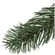 фото Гирлянда NEON-NIGHT 307-144