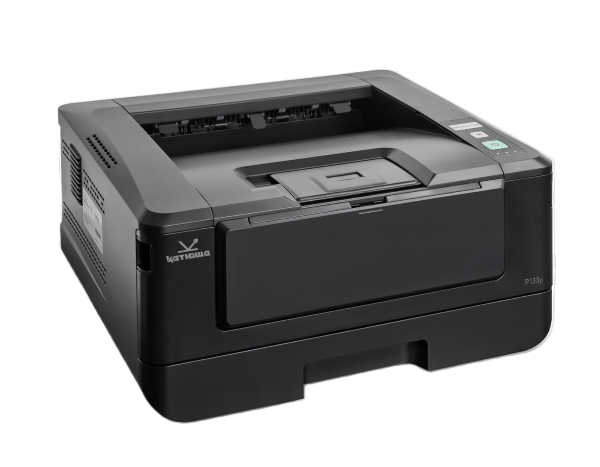 

Принтер лазерный черно-белый Катюша P133-256 А4, 33 стр/мин.,1200 dpi. 256mb RAM, Ethernet, USB, USB-host. Тонер в комплекте на 700 отп, P133-256