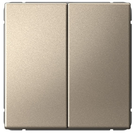 фото Выключатель двухклавишный  Systeme Electric GAL000551S в Омске