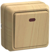 фото Выключатель IEK EVO11-K03-10-DC