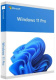 фото ПО  Microsoft Win Pro 11 64-bit FPP Eng USB в Омске