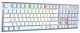 фото Клавиатура  A4Tech Fstyler FS100 Neon в Уфе