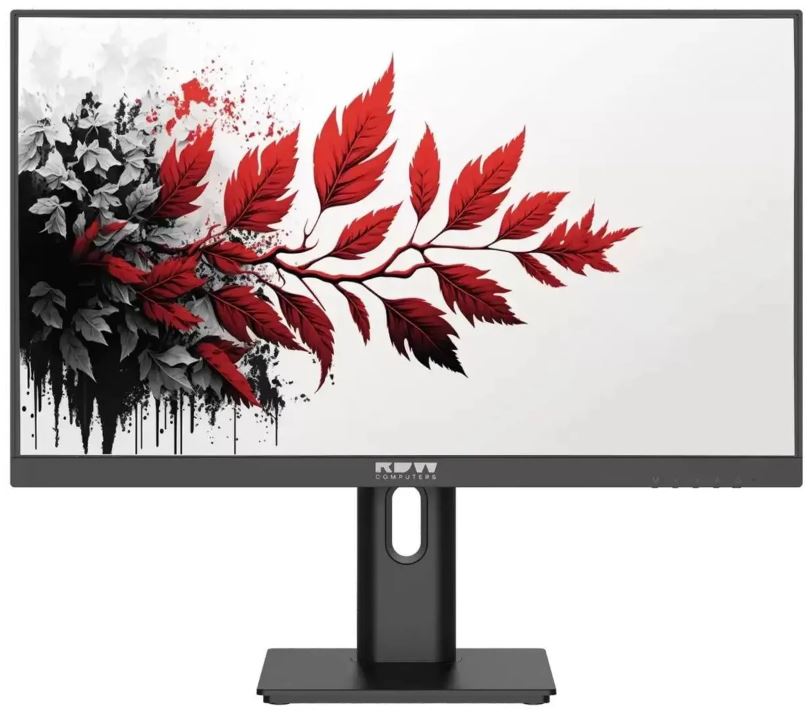 

Монитор 27" RDW Computers RDW2701K 2701K/Q03В3100V2A1 черный IPS 1MS HDMI M/M МАТОВАЯ HAS PIV 350CD 178ГР/178ГР 2560X1440 DP QHD (RUS), RDW2701K
