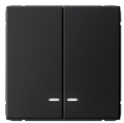 фото Выключатель двухклавишный с подсветкой Systeme Electric GAL001053S