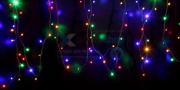 фото Гирлянда NEON-NIGHT 315-159