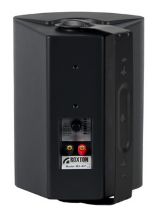 фото Акустическая система  Roxton MS-40TB