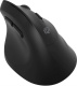 фото Мышь Wireless Oklick 688MW ERGO в Казани