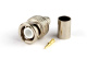 фото Разъем  Hyperline CON-BNC-M-RG6-CR