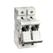 фото Разъединитель-предохранитель  EKF pr-14-51-2