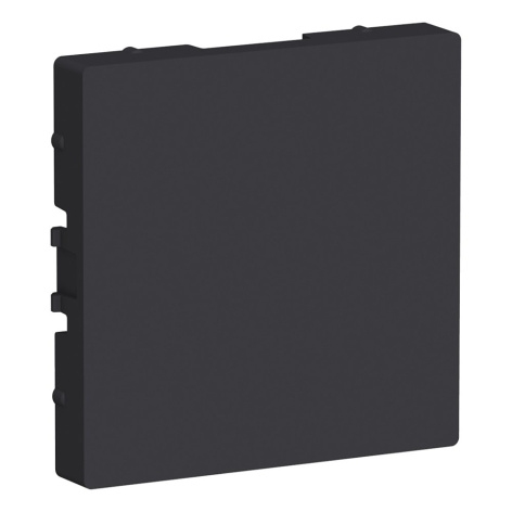 фото Заглушка  Systeme Electric ATN001009 в Уфе