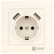 фото Розетка с заземлением с 2 USB EKF EWR16-028-20-2USB