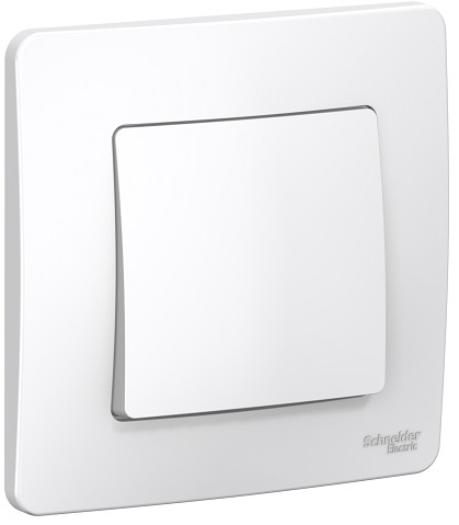 фото Выключатель  Systeme Electric BLNVS010101 в Уфе