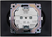фото Розетка двухместная с заземлением IEK SK-R21-16-K48-F