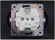 фото Розетка двухместная с заземлением в сборе IEK SK-R21-16-K48-F в Уфе