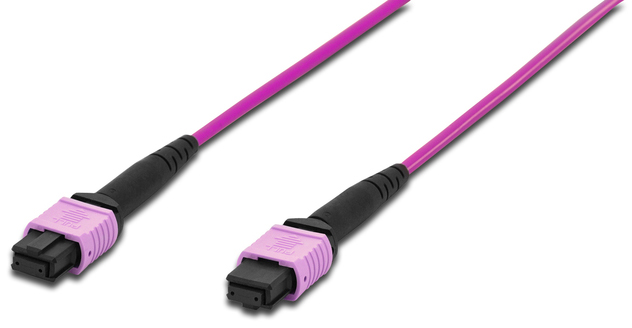 

Кабель Lanmaster LAN-12M-12M/OM4B-20 12 волокон OM4, тип B (Key Up-Key Up), низкие потери, LSZH, 20 м, розовый, LAN-12M-12M/OM4B-20