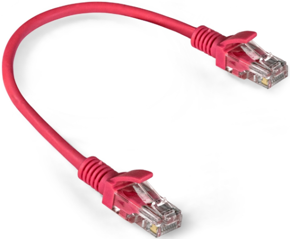 фото Кабель патч-корд U/UTP 5e кат. 0.3м Exegate UTP-RJ45-RJ45-5e-0,3M-LSZH-RD в Красноярске