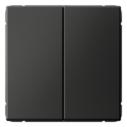 фото Переключатель двухклавишный Systeme Electric GAL001465