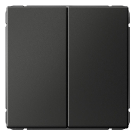 фото Переключатель двухклавишный  Systeme Electric GAL001465 в Уфе
