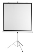фото Экран Digis DSKD-4304