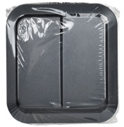 фото Выключатель двухклавишный  IEK TS-V20-0-10-55-K53