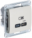 фото Розетка USB  Systeme Electric GSL000227 в Самаре