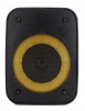 фото Колонка Hyundai H-PS1005