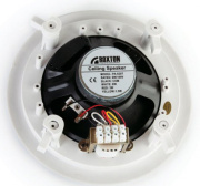 фото Акустическая система Roxton PA-620T