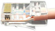 фото Коннектор Hyperline PLEZ-8P8C-U-C5-100