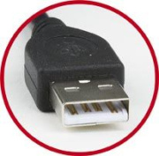 фото Кабель интерфейсный Cablexpert AM-AF