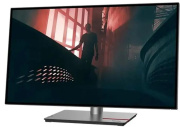 фото Монитор Lenovo ThinkVision P27q-30