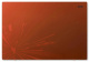 фото Ноутбук  Acer Nitro Lite NL16-71G-7227 в Санкт-Петербургe 16 ", Core i7, 16 Гб RAM, 512 Гб SSD, GeForce RTX 4050, Красный