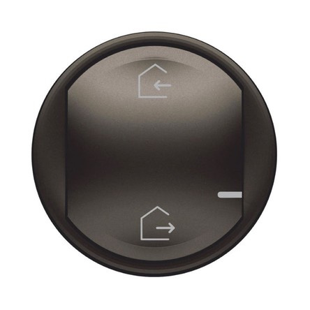 Изображение товара Лицевая панель Legrand 064832 для умного выключателя Celiane with NETATMO