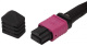 фото Кабель волоконно-оптический 50/125, 12 волокон Hyperline TC-MC3-504-1xMPOF12/PX-1xMPOF12/PY-A-IN-10M-LSZH-MG