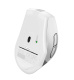 фото Мышь Wireless A4Tech FG35S USB SILVER в Волгограде