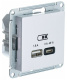 фото Розетка USB  Systeme Electric ATN000429 в Челябинске