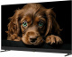 фото Телевизор  TopDevice TDTV50DQ08U_BK в Казани
